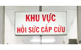 Hồi sinh ngoạn mục bệnh nhân đột quỵ hôn mê sâu