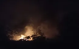 Hàng trăm người nỗ lực chữa cháy rừng trong đêm ở Nghệ An 