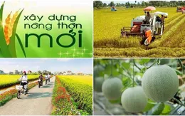 Thực hiện "4 đẩy mạnh", "3 tiên phong" để đạt mục tiêu nông nghiệp sinh thái, nông thôn hiện đại