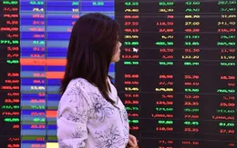 IR Awards 2025: Tỷ lệ doanh nghiệp đạt chuẩn công bố thông tin cao nhất trong 15 năm