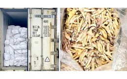 Khởi tố vụ án xuất khống 1.400 tấn chân gà đông lạnh