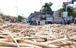 Xe chở keo cơi nới thùng, chở quá tải - Nỗi ám ảnh của người đi đường