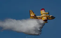 Trí tuệ nhân tạo hỗ trợ chữa cháy rừng