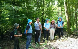 Hợp tác công - tư trong bảo tồn rừng và nguồn nước