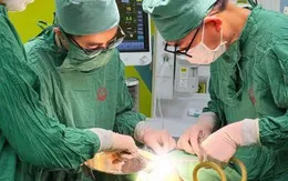 Cảnh giác với u nang cổ – dị tật bẩm sinh hiếm gặp ở tuổi vị thành niên