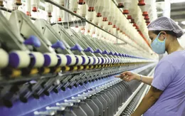 Minh bạch xuất xứ hàng hóa: Chìa khóa khai thông thị trường Mỹ