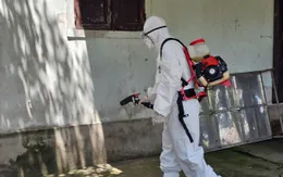 Bệnh liên cầu lợn lan rộng ở Huế, 1 người tử vong, nhiều bệnh nhân nặng xin về nhà