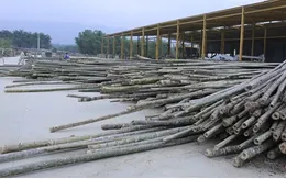 Thanh Hóa yêu cầu doanh nghiệp chấp hành nghiêm pháp luật sau khi dự án được gỡ cảnh báo vi phạm