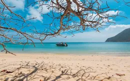 Tiềm năng phát triển của Vũng Tàu sau hợp nhất