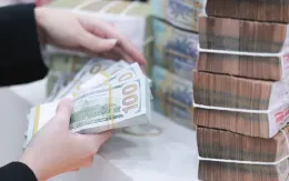 Hoạt động bảo hiểm tỷ giá của doanh nghiệp xuất khẩu tăng mạnh