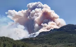 Cháy rừng ở Tây Ban Nha ảnh hưởng đến khoảng 18.000 người