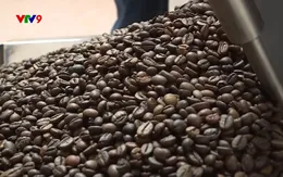 Tăng tốc hoàn thiện dữ liệu đáp ứng quy định chống phá rừng của Liên minh châu Âu