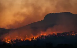 Biến đổi khí hậu đe dọa tăng trưởng kinh tế toàn cầu