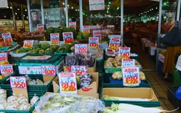 Nhật Bản phát triển mô hình hợp tác xã đa dịch vụ