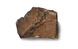 Đấu giá thiên thạch Sao Hỏa lớn nhất thế giới