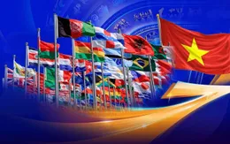 Hướng dẫn thực hiện phân quyền trong lĩnh vực hàm, cấp ngoại giao