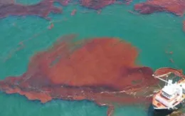 Thay đổi thẩm quyền, thời hạn phê duyệt kế hoạch ứng phó sự cố tràn dầu