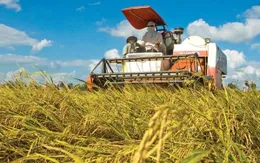 Đề xuất có nhãn mác riêng cho sản phẩm từ kinh tế tuần hoàn