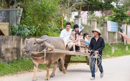 Bố ơi, mình đi đâu thế Tập 10 - Những trải nghiệm "có một không hai" tại Nghệ An