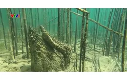 Phát hiện khu định cư dưới nước niên đại 8.000 năm ở châu Âu