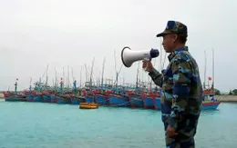 Quân chủng Hải quân yêu cầu các cơ quan, đơn vị chủ động phòng chống bão Wipha