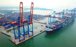 Đến 2030, cần hơn 359.000 tỷ đồng phát triển hệ thống cảng biển Việt Nam