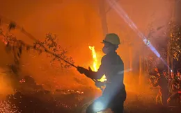 Nghệ An: Huy động hàng trăm người dập tắt vụ cháy rừng trong đêm