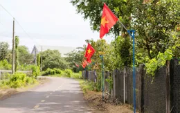 TP Hồ Chí Minh tổ chức nhiều hoạt động tình nguyện vì nông thôn mới