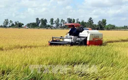 Thủ tướng Chính phủ chỉ đạo 3 vấn đề lớn của vùng Đồng bằng sông Cửu Long