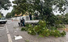 Thái Nguyên sẽ có mưa lớn trên 200mm do bão số 3, nguy cơ ngập úng, sạt lở đất