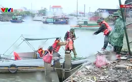1.700 tàu, thuyền, 5.000 lao động tại Hải Phòng vào nơi tránh bão an toàn
