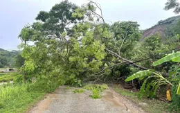 Lào Cai tạm dừng dịch vụ du lịch ngoài trời để ứng phó bão số 3