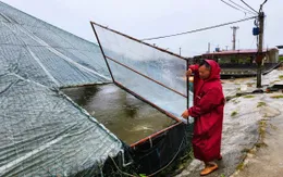 Mưa giông lớn tàn phá nhiều khu vực tại Thanh Hóa trước khi bão số 3 đổ bộ