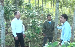 Quảng Ngãi: Xã nghèo không nhận hoa chúc mừng Đại hội Đảng bộ xã