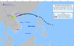 Ban Bí thư chỉ đạo tăng cường đôn đốc, kiểm tra, ứng phó bão số 3