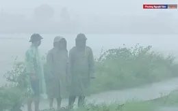 Hơn 6.000 ha lúa tại Thanh Hóa bị ngập úng do mưa lớn