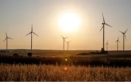 Kêu gọi các công ty A.I. sử dụng năng lượng tái tạo