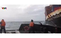 Hải quân Việt Nam: Điểm tựa giữa trùng khơi cho ngư dân vươn khơi, bám biển