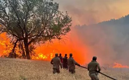 Cháy rừng nghiêm trọng tại Thổ Nhĩ Kỳ, ít nhất 10 người thiệt mạng