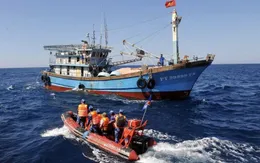 Thủ tướng chỉ đạo tăng cường chống khai thác thủy sản bất hợp pháp IUU