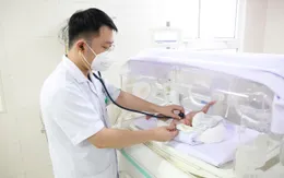 Hành trình hồi sinh kỳ diệu của bé gái sinh non ở tuần 24