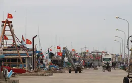 Ninh Bình đề xuất xây dựng cảng biển nước sâu tại khu kinh tế Ninh Cơ