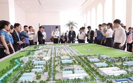 VARS: Đào tạo "chui" môi giới bất động sản, học 1 - 2 buổi có chứng chỉ