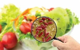 Mùa hè - "thời điểm vàng" của vi khuẩn gây ngộ độc thực phẩm