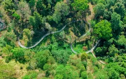 Du lịch mạo hiểm giữa rừng ôn đới Datanla