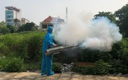 Hà Nội tăng cường phòng chống sốt xuất huyết