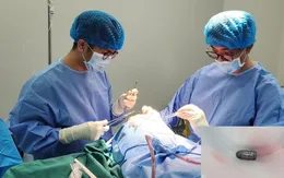 Viên đạn lạc găm vào đầu người phụ nữ khi đang làm vườn