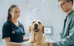 Chó đánh hơi phát hiện Parkinson sớm, độ chính xác tới 98%