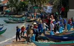 Người dân Khánh Hòa chung tay trồng rừng ngập mặn, lan tỏa thông điệp "Sống xanh"
