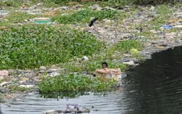 Ô nhiễm nhựa gây thiệt hại 1.500 tỷ USD mỗi năm